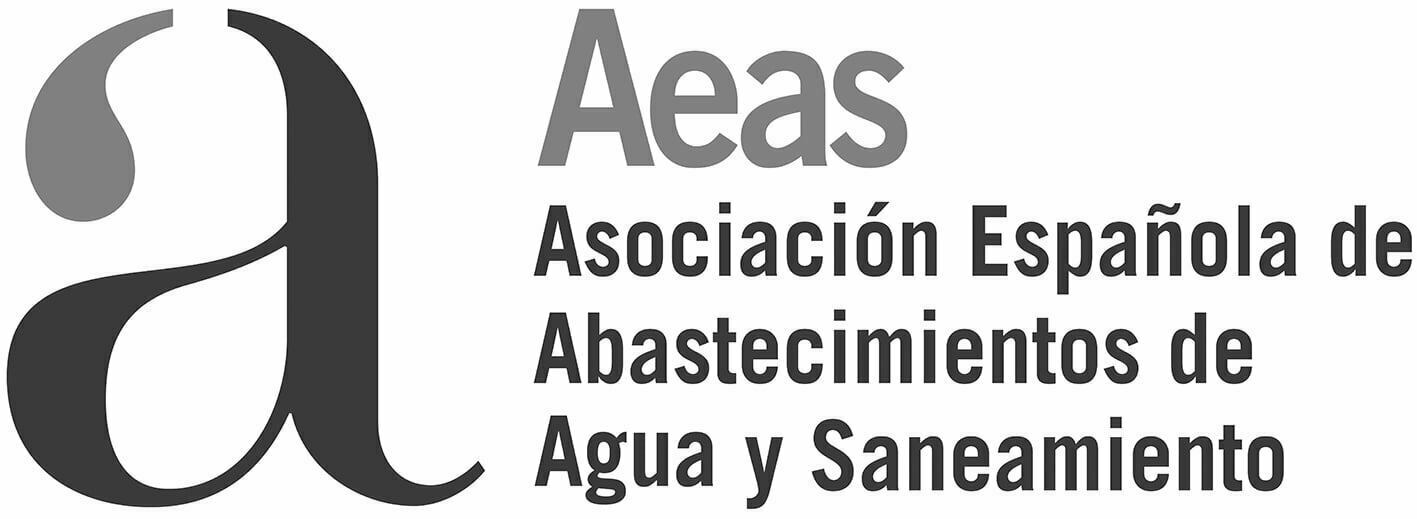Logo-AEAS